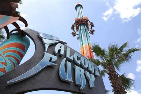 5 Mejores Atracciones En Busch Gardens Tampa