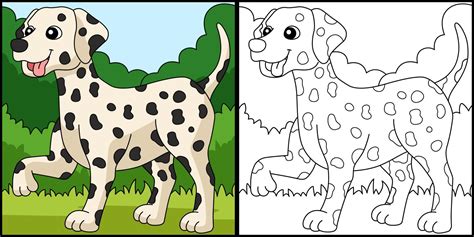 Dalmatian Dog Coloring Page Colored Illustration 8208224 Vector Art At