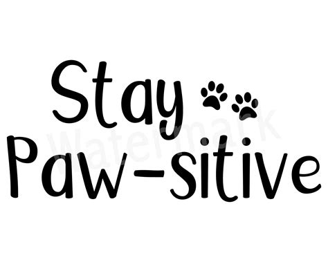 Stay Pawsitive Pet Quote SVG, Pet TShirt, Funny Dog Mug, Cat Mug