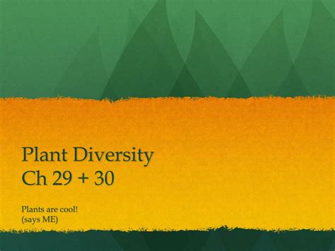 Ppt Plant Diversity Ch 29 30 Powerpoint Presentation Free Download