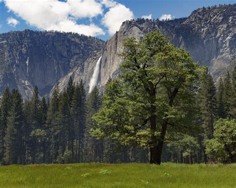 Yosemite National Park aims to reopen in early June, with limits - Chico Enterprise-Record