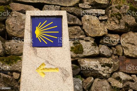 Camino De Santiago Pilgrims Scallop Symbol Yellow Arrow Stock Photo