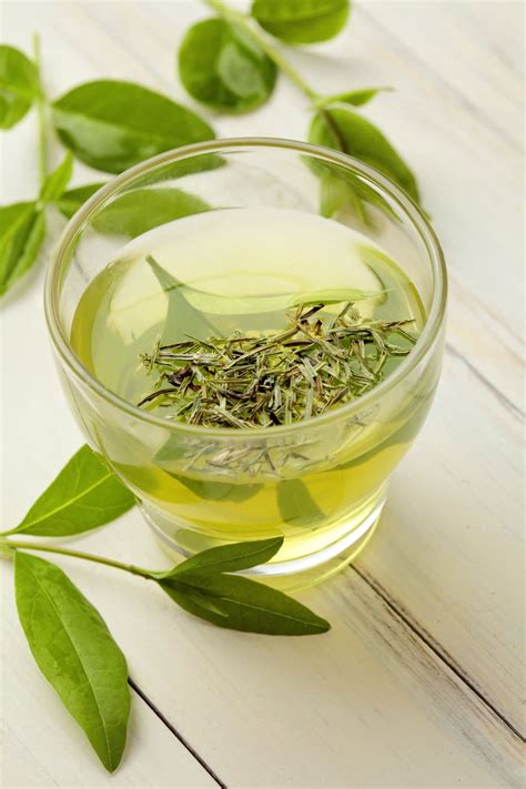 Green tea side effects have been praised worldwide for their benefits and ability to dramatically improve health. What the Science Says about Green Tea, Side Effects and ...