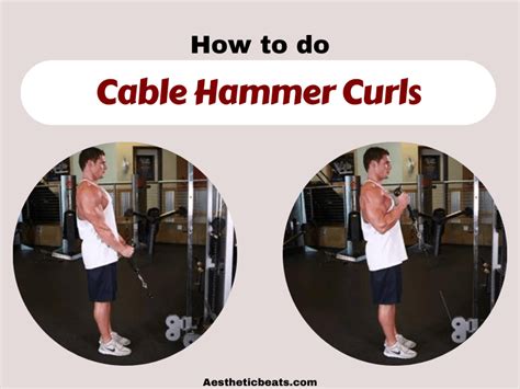 Cable Hammer Curls Biceps Exercise Aestheticbeats
