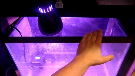 Fish wood for aquarium stand. DIY Aquarium Stand and Canopy 20 Gallon Reef 4 - YouTube