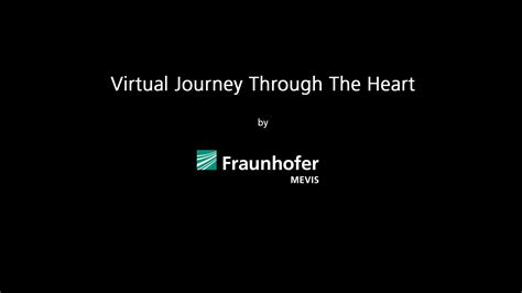 Virtual Journey Through The Heart On Vimeo
