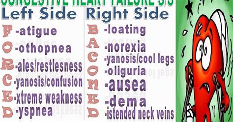 Congestive Heart Failure Signs And Symptoms Mnemonic ~ The