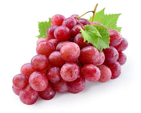Cara Menanam Buah Anggur Hasilkan Panen Berlimpah