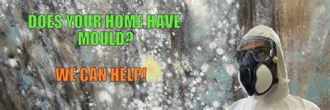 Mould Remediation Services Ottawa Extreme Clean