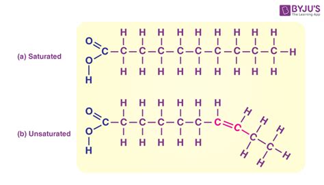 Chemical Structure Of Lipids