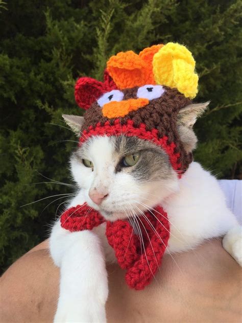 Free Cat Hat Crochet Patterns