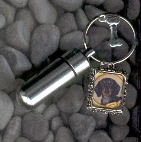 We all have very special bonds with our companions and it is only natural that we want to remember our pet's devotion. 0p,Cat,Dog ID,Cat Toy,Pet Urn,Cat,Key Chain Urn,Cremation ...