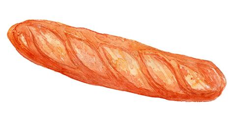 French Baguette Watercolor Illustration 2 Stock Photo Image Of