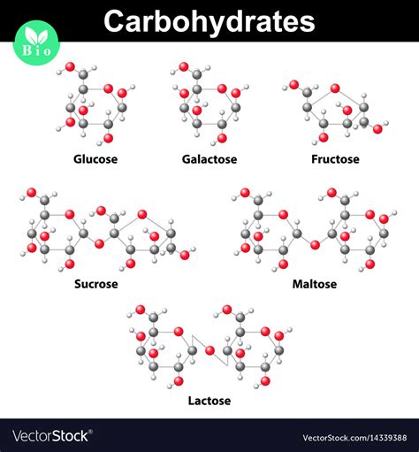General Carbohydrates Molecular Structures Vector Image
