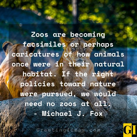 50 Instagram Quotes Zoo Tahun Ini Javaquotes