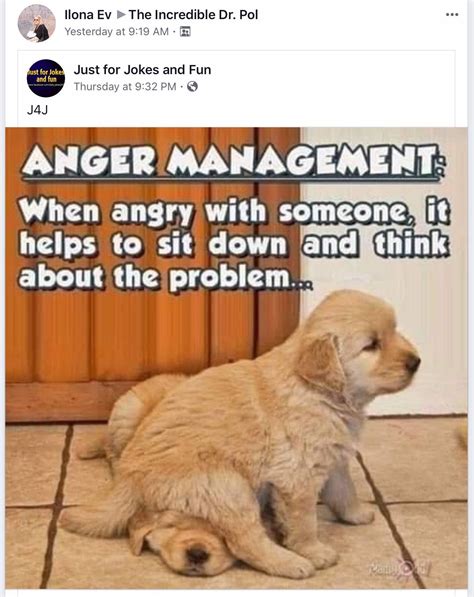 Pin By Karen Baker On Humor In 2020 Anger Management Jokes Anger