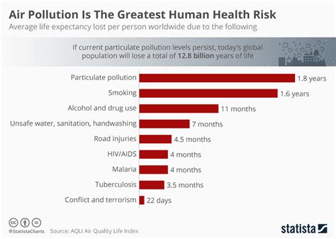 Chart Air Pollution Is The Greatest Human Health Risk Statista
