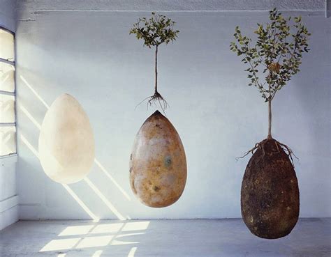 Turn Your Loved Ones Into Trees With These Organic Burial Pods