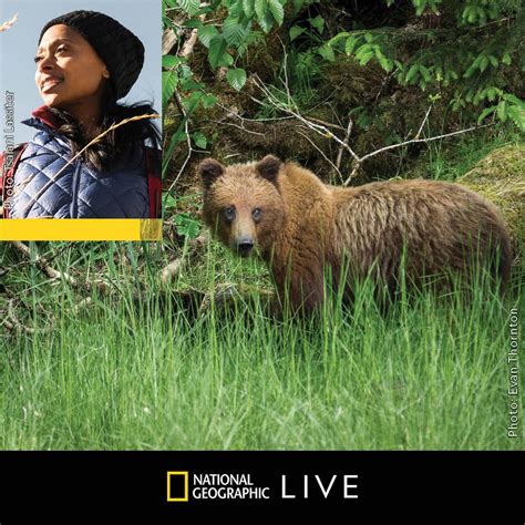 National Geographic Live Rae Wynn Grant The Secret Life Of Bears