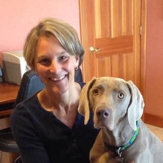 Holistic veterinary care lamb kim dvm. Holistic Veterinary Care - Reviews | Facebook