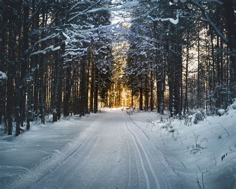 Download Wallpaper 1280x1024 Winter Snow Road Trees Standard 54 Hd