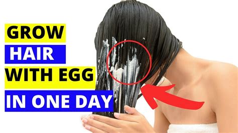 How To Grow Long Hair With Egg In One Day Youtube