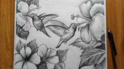How To Draw Easy Bird And Flowers Step By Step With Pencil Sketch For