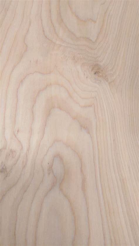 Birch Natural Flat Cut Veneer Capitol City Lumber