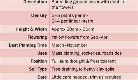 It has a great spreading ground cover habit with clean blue toned foliage. Double Gold™ - Product | ODS