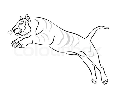 Leaping Tiger Drawing