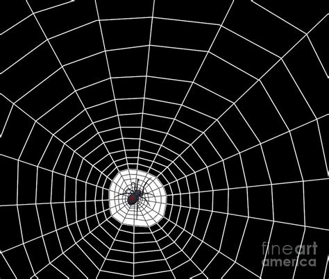 Black Widow Spider Web Digital Art By Methune Hively Pixels