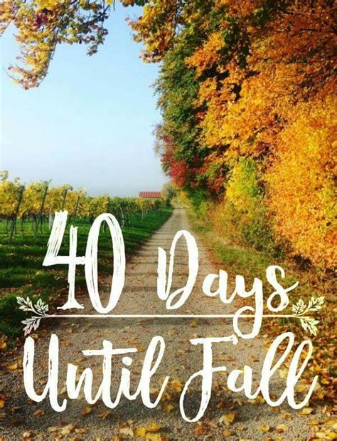 4o Days Till Fall🍁🍂🍊 Neon Signs Fall Harvest Fall