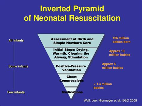 Neonatal Resuscitation Inverted Pyramid