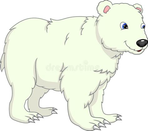 Cute Polar Bear Cub Stock Vector Illustration Of Camera 12464057