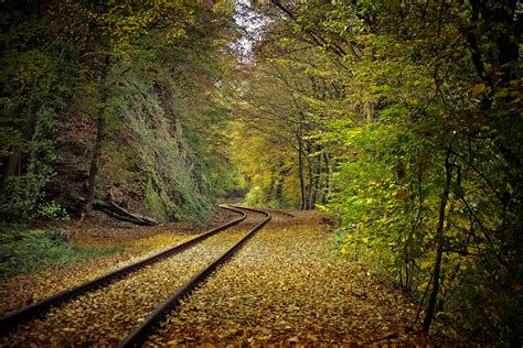 Fall Railroad Tracks And Leaves In The Forest Image Free Stock Photo