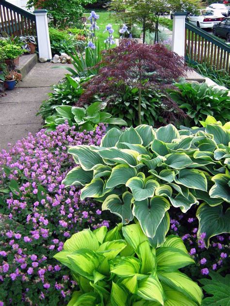 10 Shady Front Yard Landscaping Ideas 64
