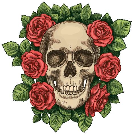 Skull And Roses Dead Skeleton Head And Red Flowers Hand Drawn Gothic