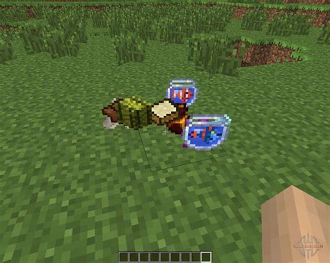 Maybe you would like to learn more about one of these? Mo Creatures 1.6.4 pour Minecraft