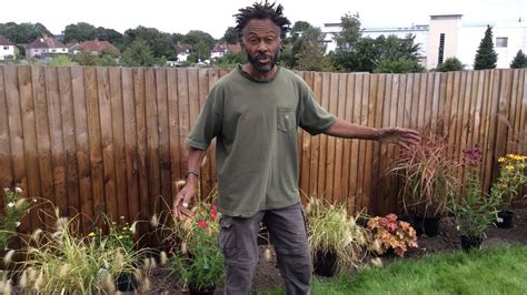 The Black Gardener Aka The Instant Gardener Youtube