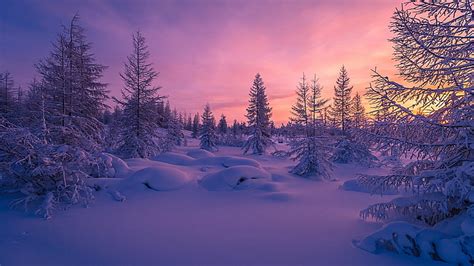 Hd Wallpaper Winter Sky Snow Nature Freezing Wilderness