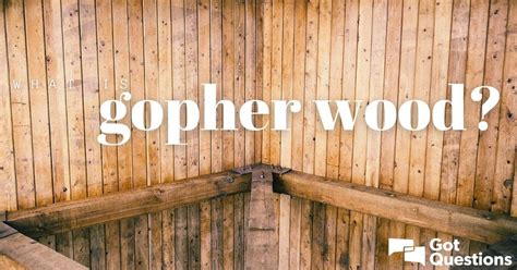 What is gopher wood? | GotQuestions.org