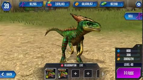 Velociraptor Level 40 Jurassic World The Game Youtube