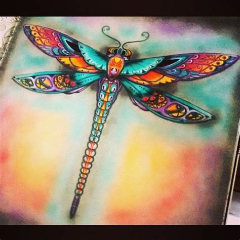 Libélula Floresta Encantada Enchanted Forest Coloring Book Dragonfly