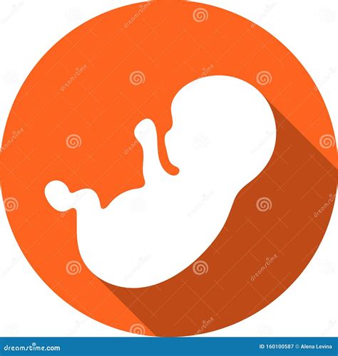 Fetus Icon Icon Embryo Baby Icon With A Shadow Stock Vector