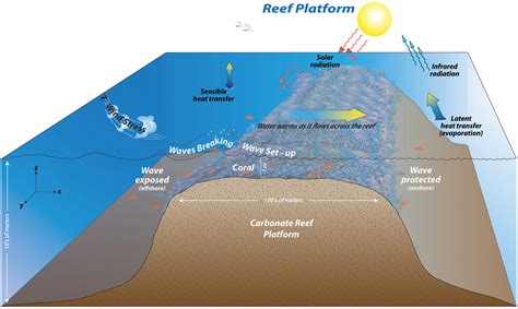 Circulation And Exchange On Coral Reefs Coastal Dynamics Laboratory