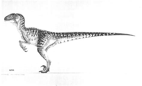 Velociraptor Deinonychus Concept Art Jurassic Park World
