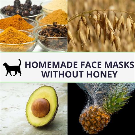 How To Make A Diy Face Mask Without Honey