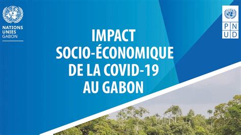 Impact Socio économique De La Covid 19 Au Gabon Programme De