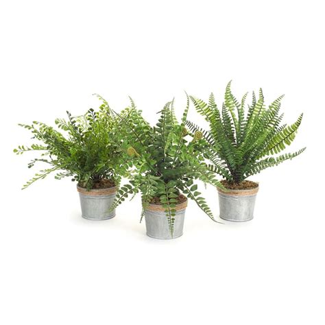 Pack Of 3 Green Artificial Country Rustic Potted Ferns 145” Walmart