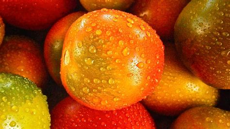 Orange Round Fruit · Free Stock Photo